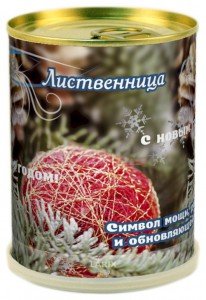 Растение в банке *Лиственница новогодняя*